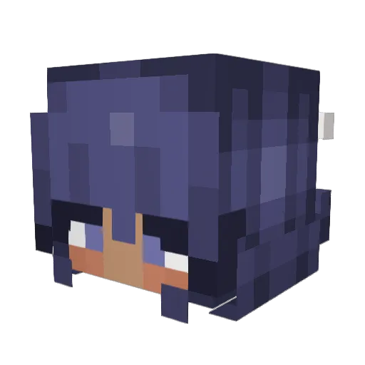 MunchkinCeli Minecraft avatar head, 3D render