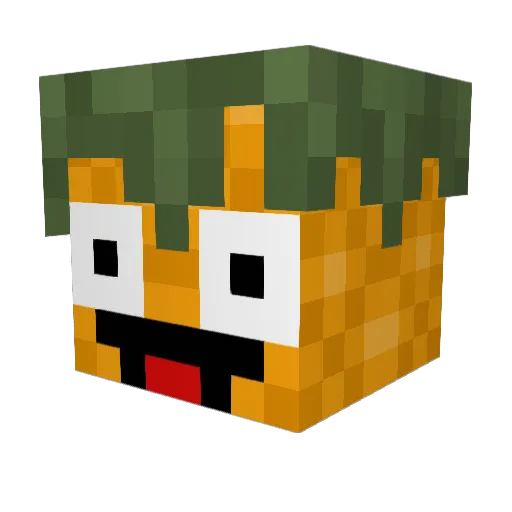 Muncho_Macho Minecraft avatar head, 3D render