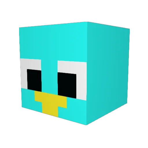 MunchyMunch16 Minecraft avatar head, 3D render