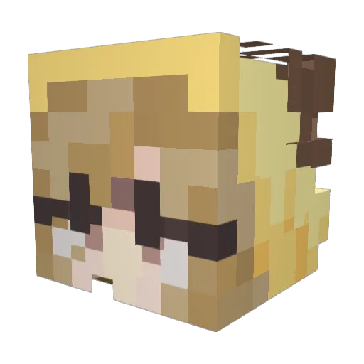 Munchy_fish Minecraft avatar head, 3D render