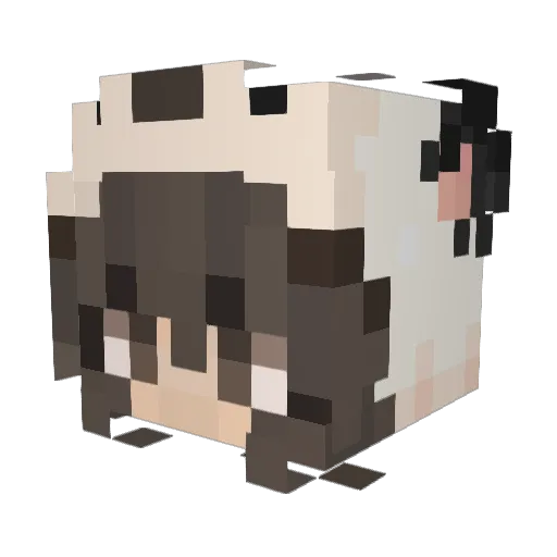 Mundela Minecraft avatar head, 3D render