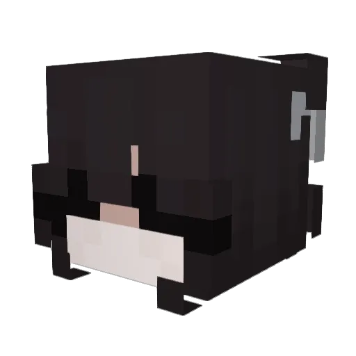 Muneia Minecraft avatar head, 3D render