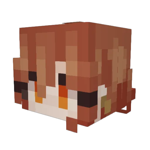 Muneys Minecraft avatar head, 3D render