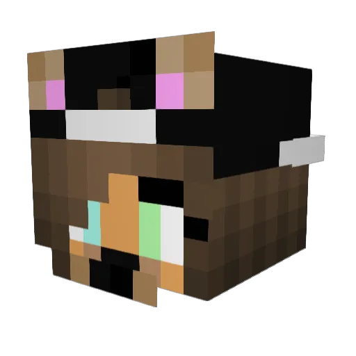 Munimaus Minecraft avatar head, 3D render