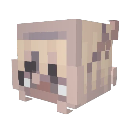 Munkas_xD Minecraft avatar head, 3D render