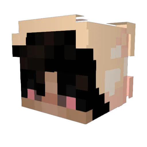 Munks Minecraft avatar head, 3D render