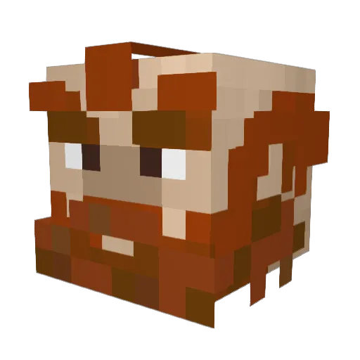 Munky1984 Minecraft avatar head, 3D render