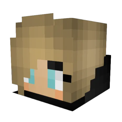 Munted Minecraft avatar head, 3D render