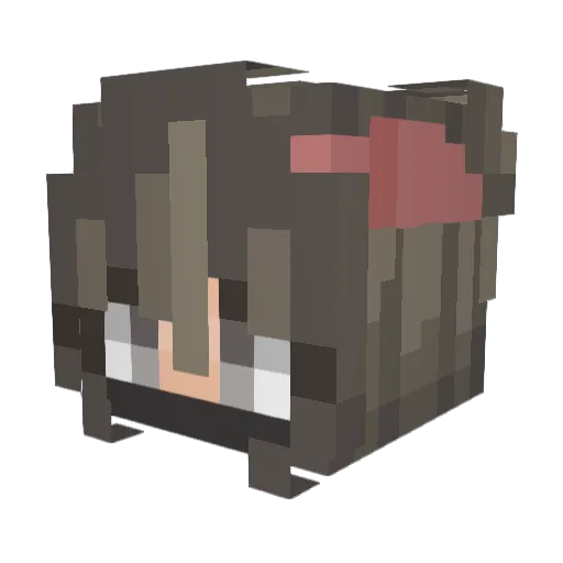 Muon2137 Minecraft avatar head, 3D render