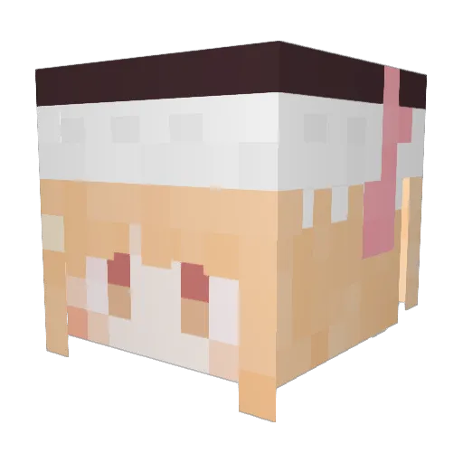 Muppet_cat Minecraft avatar head, 3D render