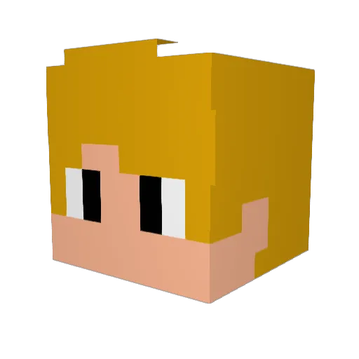 Murailus Minecraft avatar head, 3D render