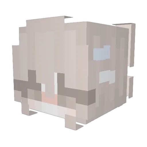 Murcis20 Minecraft avatar head, 3D render
