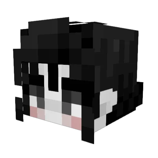 MurderOfCrows4 Minecraft avatar head, 3D render