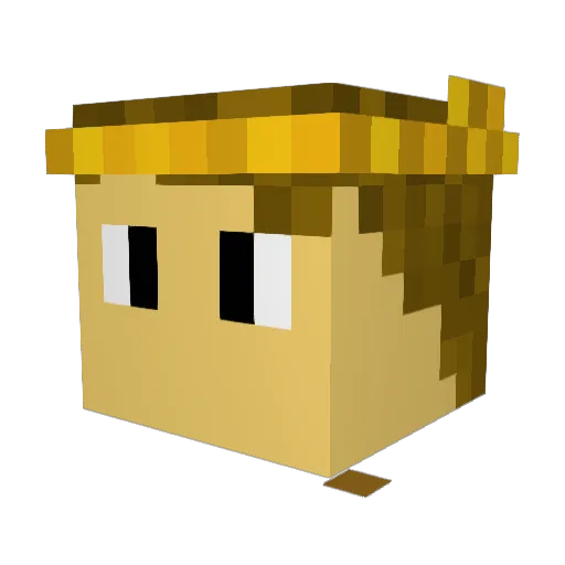 Murder_Patrol Minecraft avatar head, 3D render