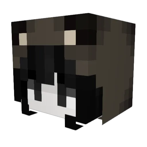 Minecraft-Avatar von Murderhater: Kopf als 3D-Render