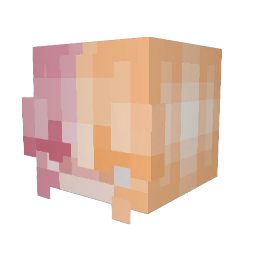 Murdockthecat123 Minecraft avatar head, 3D render