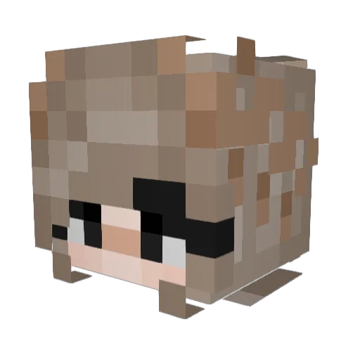 Minecraft-Avatar von Muriemack: Kopf als 3D-Render