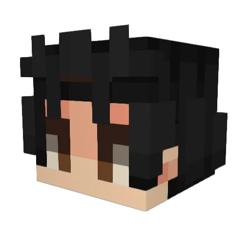Minecraft-Avatar von Murilin1112: Kopf als 3D-Render