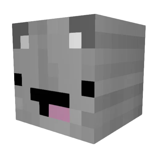 MuriloEpic11 Minecraft avatar head, 3D render