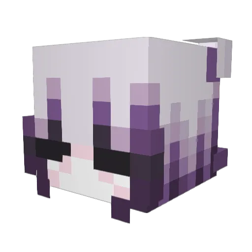 MuriloVoid Minecraft avatar head, 3D render