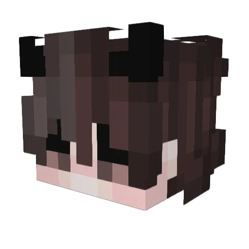 Murk__ Minecraft avatar head, 3D render