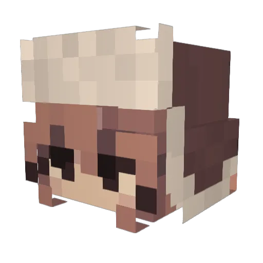 Murkey6 Minecraft avatar head, 3D render