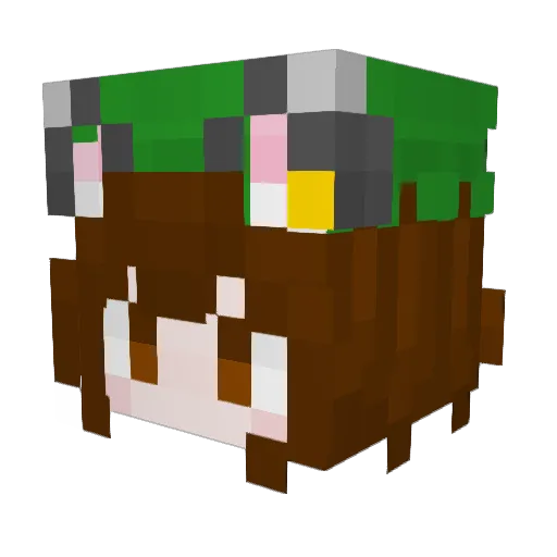 MurloCitrus Minecraft avatar head, 3D render