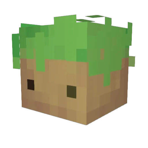 Murooo Minecraft avatar head, 3D render