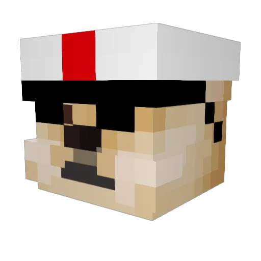 Murr4y Minecraft avatar head, 3D render