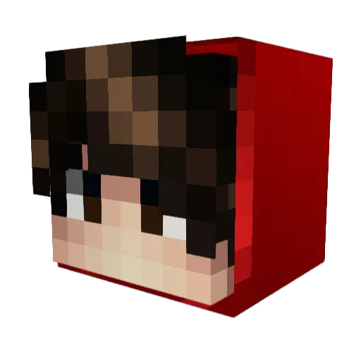 Murray406 Minecraft avatar head, 3D render