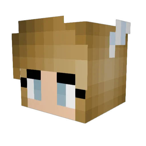 MurryBear Minecraft avatar head, 3D render