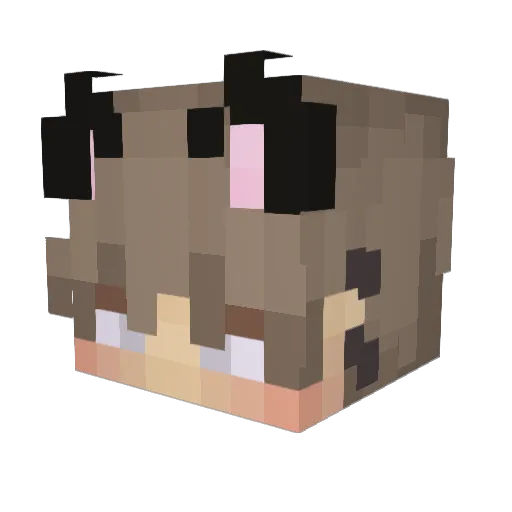 MusaThePickle Minecraft avatar head, 3D render