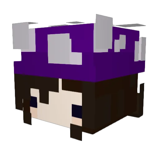 MuschroomZ Minecraft avatar head, 3D render