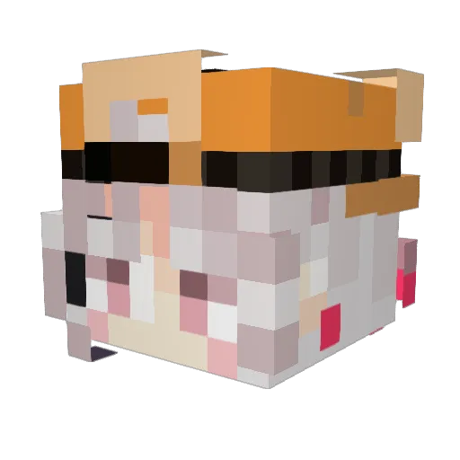 MuseStarling Minecraft avatar head, 3D render