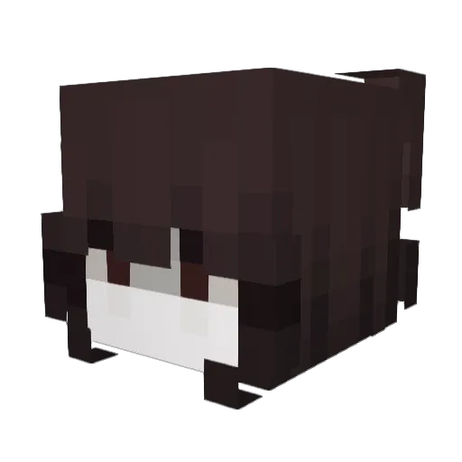 Mush_Mage Minecraft avatar head, 3D render