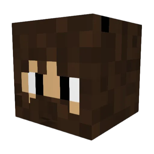 Mushr00mpie Minecraft avatar head, 3D render