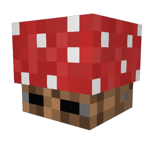 MushroomKing14 Minecraft avatar head, 3D render