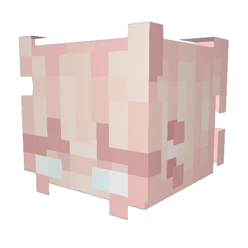 MushroomNymph414 Minecraft avatar head, 3D render