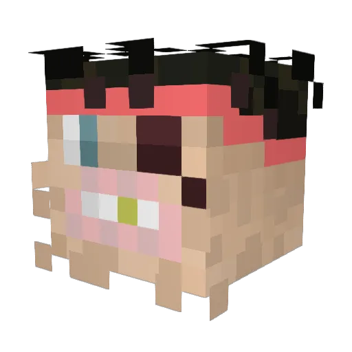 MushroomZoo Minecraft avatar head, 3D render