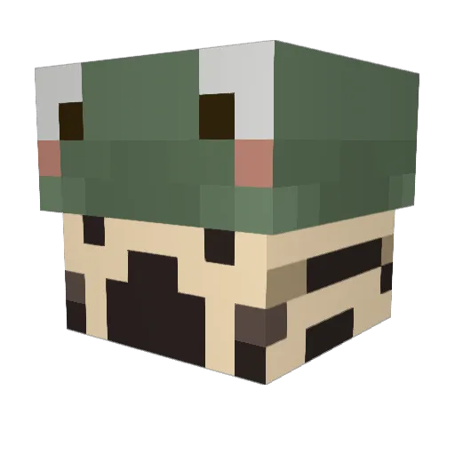 Mushroomrave Minecraft avatar head, 3D render