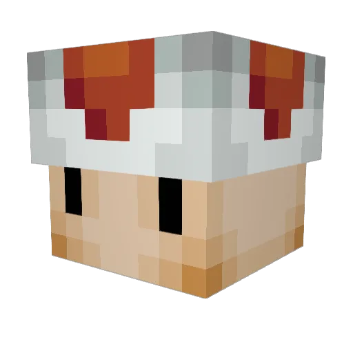 MushyMC Minecraft avatar head, 3D render