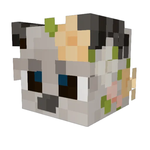 MusicBirdd Minecraft avatar head, 3D render