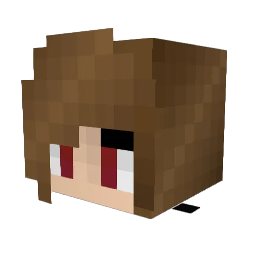 MusicGirl204 Minecraft avatar head, 3D render