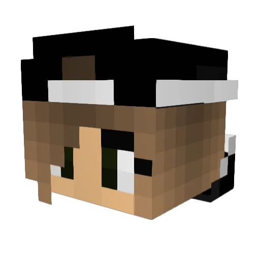 MusicQueen77 Minecraft avatar head, 3D render