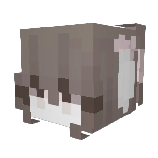 MusicalAmaya Minecraft avatar head, 3D render