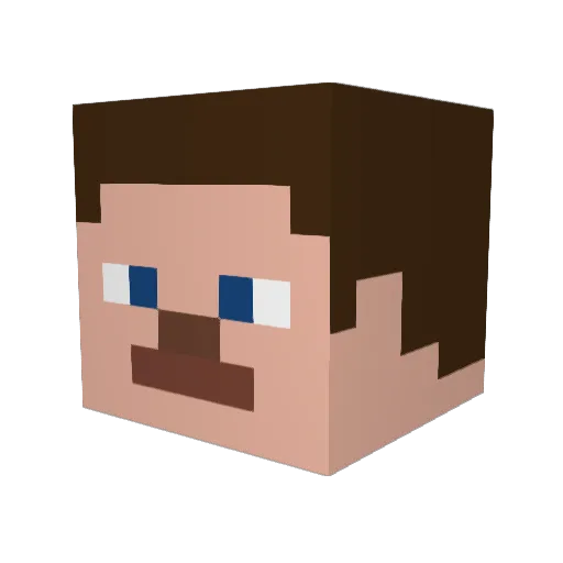 Musk_Fan_5 Minecraft avatar head, 3D render