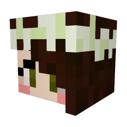 Muskaistcool Minecraft avatar head, 3D render
