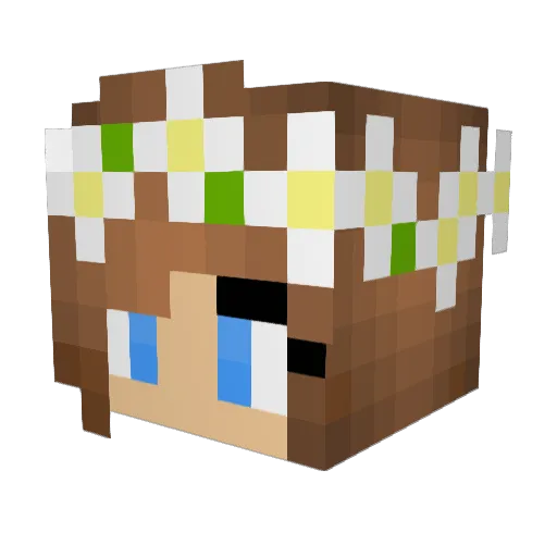 Muskie1430 Minecraft avatar head, 3D render