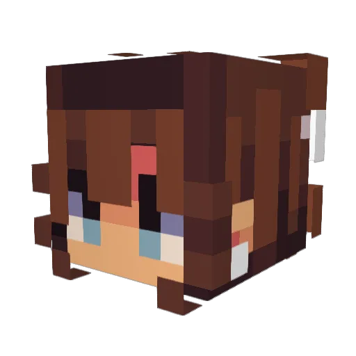 MuskratJukebox Minecraft avatar head, 3D render