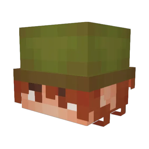 MuskuNusku Minecraft avatar head, 3D render